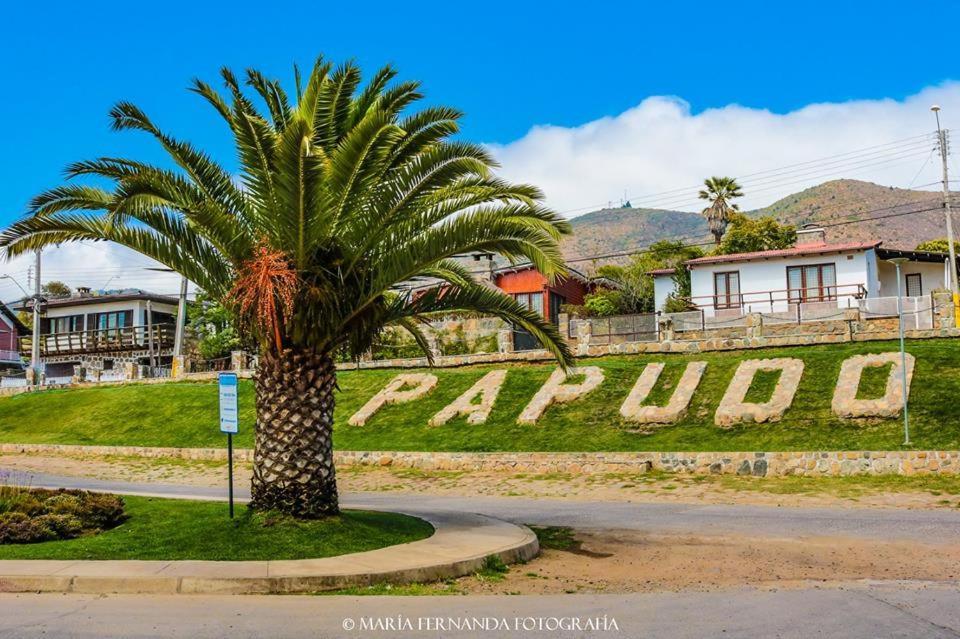 Apartmán Haydee Lomas De Papudo IV Exteriér fotografie